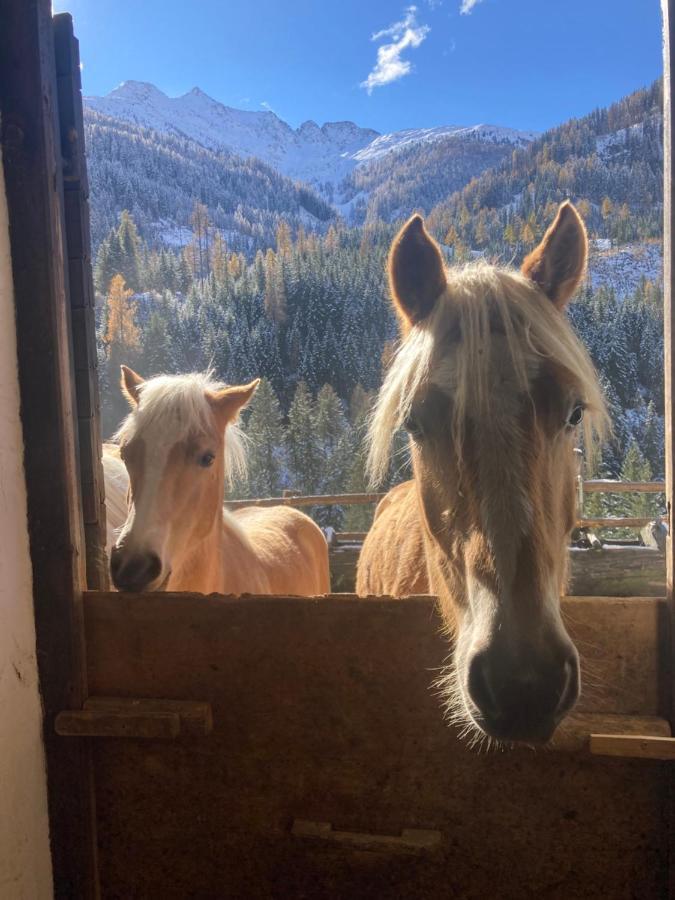 Ferienwohnungen-Lippenhof Sankt Jakob in Defereggen Bagian luar foto